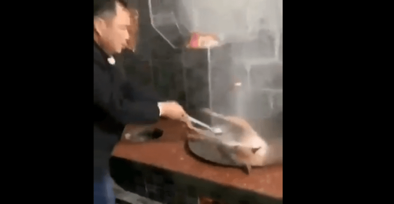 مواطن صيني يطبخ كلب حي